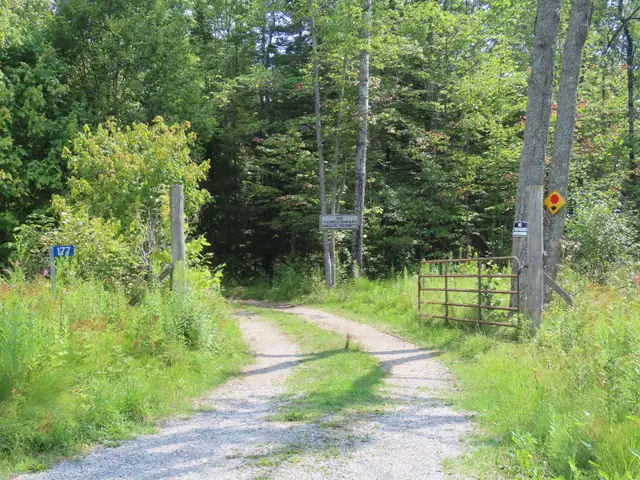 Land for Sale!  54 acres to 100 acres, to 250 acres to 700 acres - Photo 2