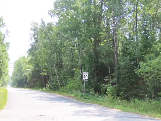 Land for Sale!  54 acres to 100 acres, to 250 acres to 700 acres - Photo 3