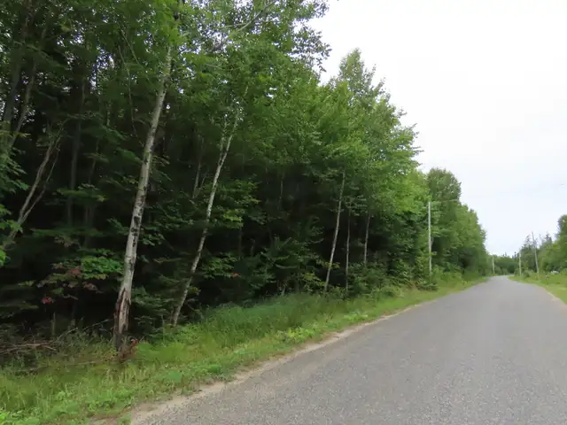 Land for Sale!  54 acres to 100 acres, to 250 acres to 700 acres - Photo 4