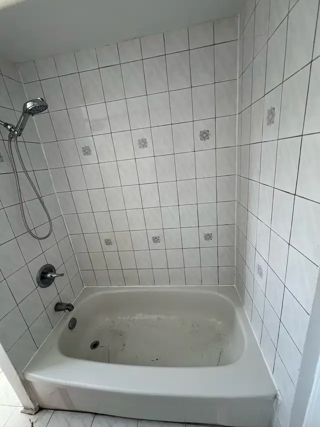 Caulking Shower and Bathtub Sink $100