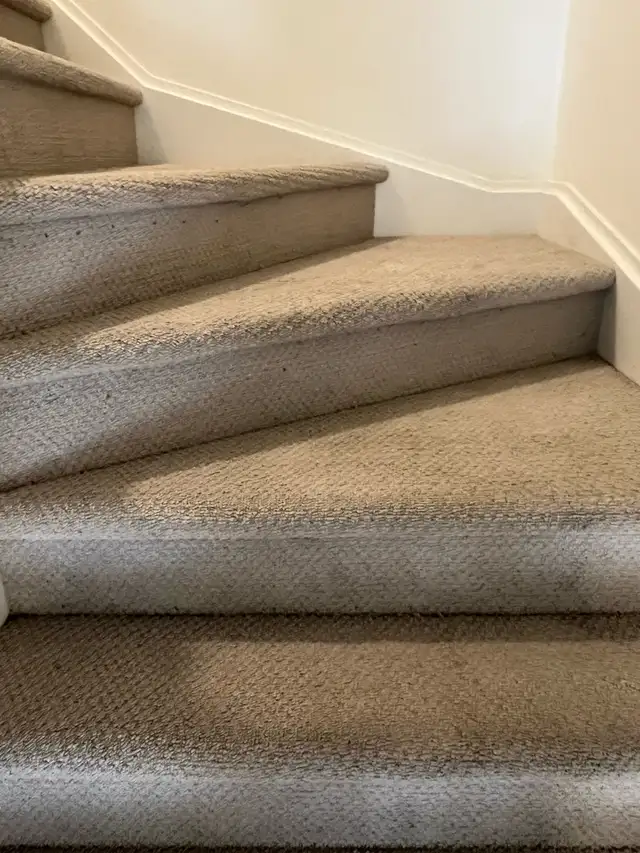 Shampoo Steam Carpet Area Rooms Stairs $40
