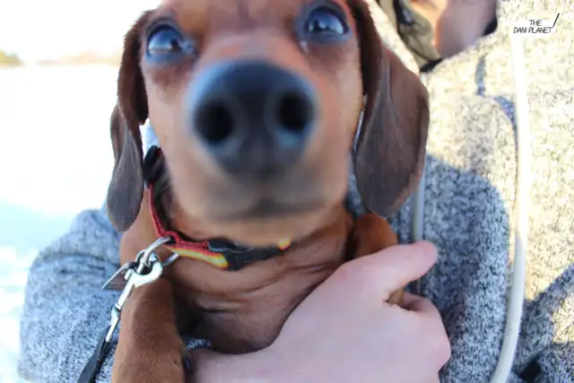 Freelance Photographer in Saskatoon and area - Photo 2