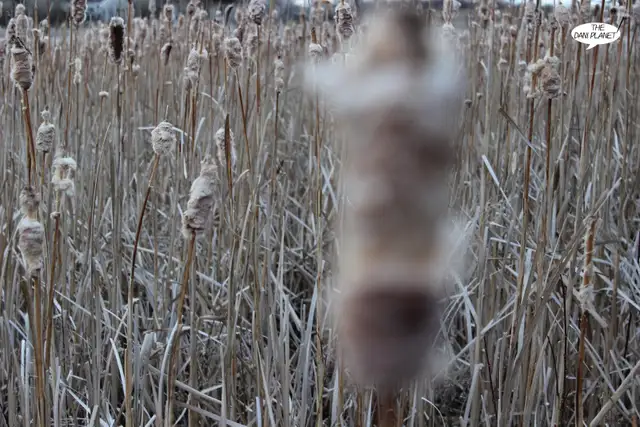 Freelance Photographer in Saskatoon and area - Photo 3