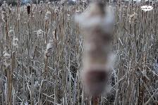 Freelance Photographer in Saskatoon and area - Photo 3