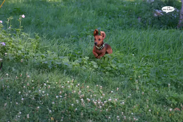 Freelance Photographer in Saskatoon and area - Photo 7