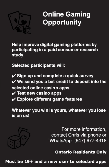 Online Casino Game Opportunity!