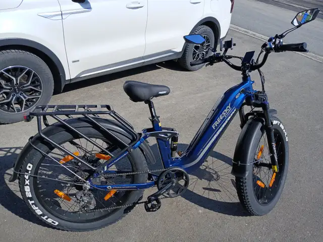 FREESKY Wild Cat Fat Bike 2025