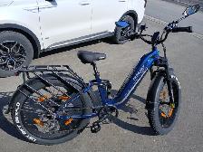 FREESKY Wild Cat Fat Bike 2025