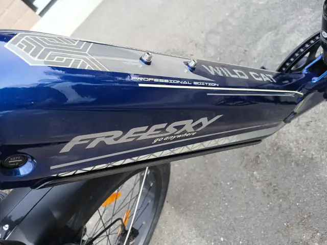 FREESKY Wild Cat Fat Bike 2025 - Photo 2