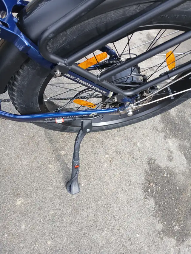 FREESKY Wild Cat Fat Bike 2025 - Photo 9