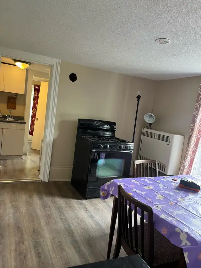 Large Private Room For Rent - Downtown Brantford - Photo 8