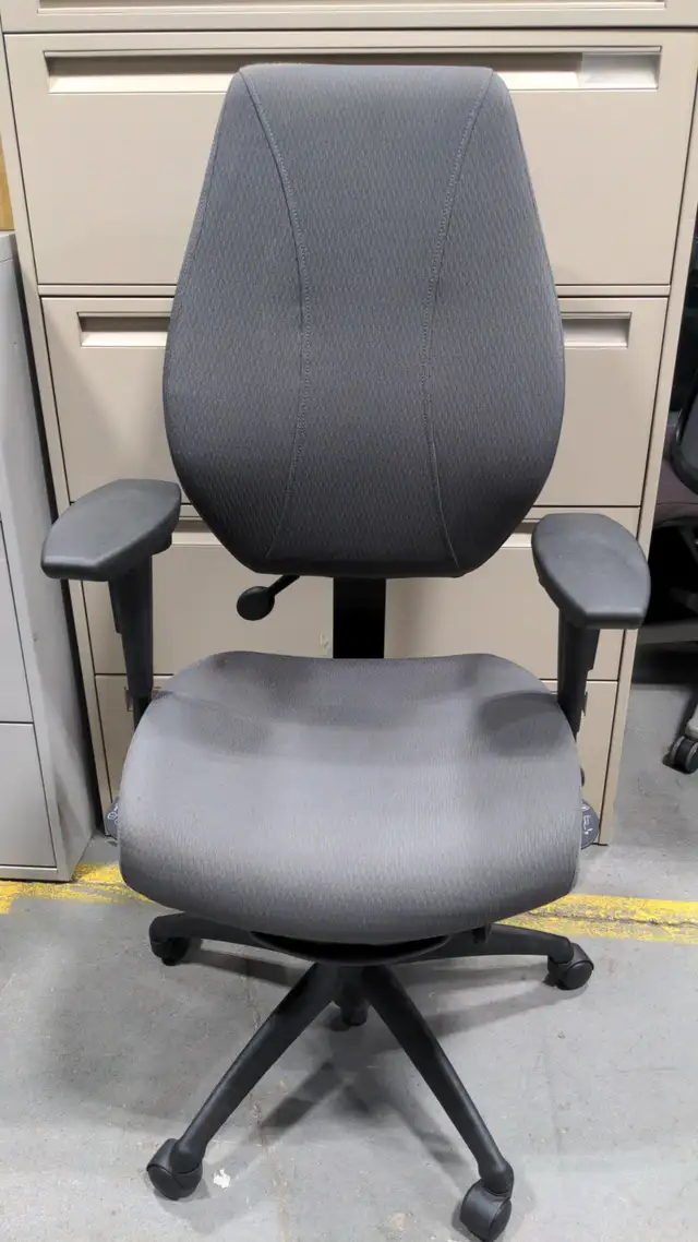 ErgoCentric GeoCentric Mid Back Multi-Tilt Series!