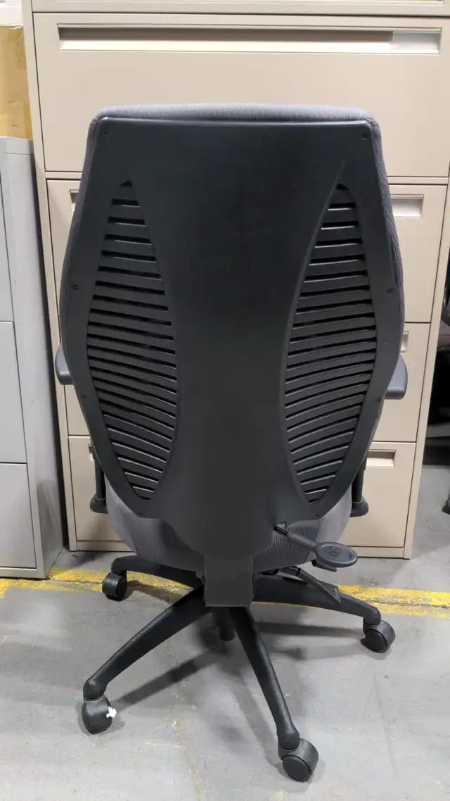 ErgoCentric GeoCentric Mid Back Multi-Tilt Series! - Photo 3