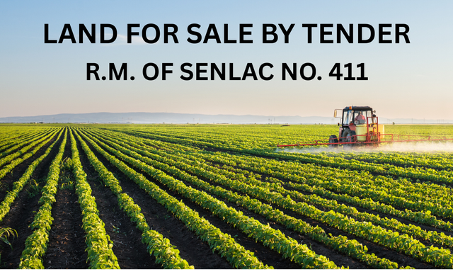 LAND FOR SALE BY TENDER