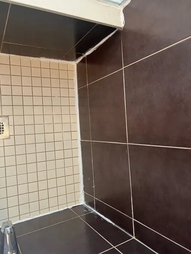 Caulking Shower Bathtub Sink $100 - Photo 2