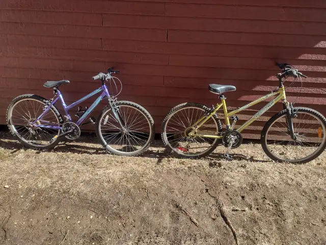 2 velos qui ont besoin d'un peu d'amour pour bricoleur