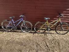 2 velos qui ont besoin d'un peu d'amour pour bricoleur