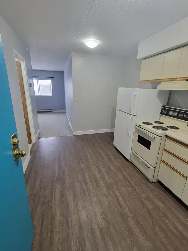 Bachelor Available for June in Minnow Lake - Photo 2