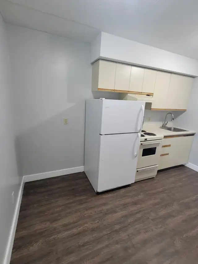 Bachelor Available for June in Minnow Lake - Photo 3