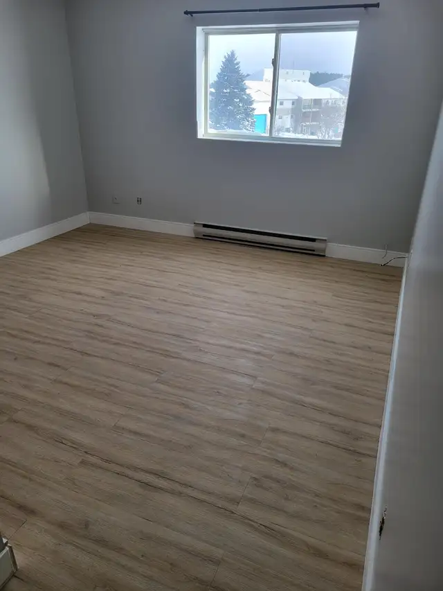 Bachelor Available for June in Minnow Lake - Photo 5