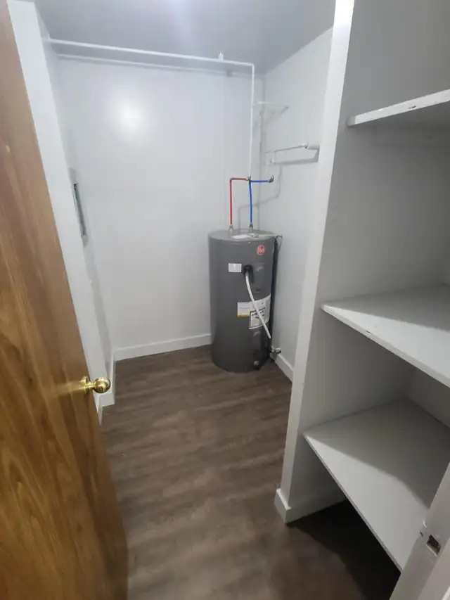 Bachelor Available for June in Minnow Lake - Photo 8