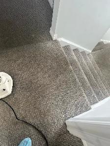 Shampoo Steam Carpet Area Stairs Rooms $40
