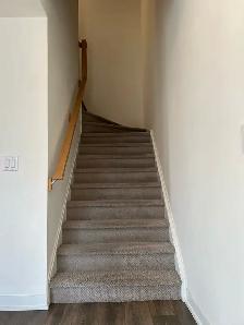 Shampoo Steam Carpet Area Stairs Rooms $40 - Photo 2