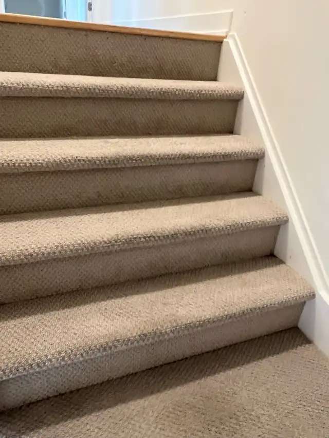 Shampoo Steam Carpet Area Stairs Rooms $40 - Photo 3