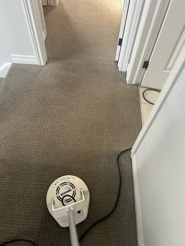 Shampoo Steam Carpet Area Stairs Rooms $40 - Photo 5