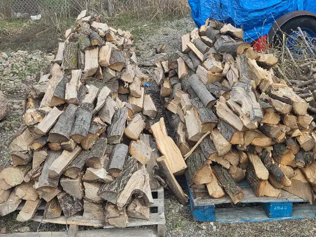 firewood