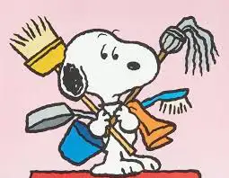 HOMME DE MÉNAGE 25$/h MONTRÉAL