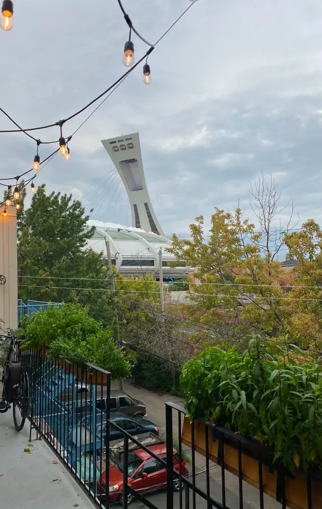 Hochelaga, Métro Pie-IX, 4 1/2 - Photo 9