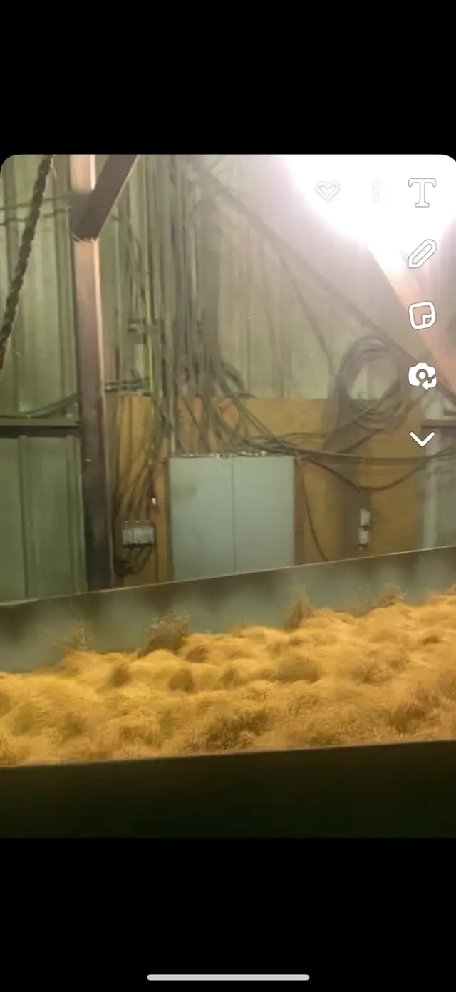 Alfalfa, Clovers, Forage seed, Hay mixes - Photo 6