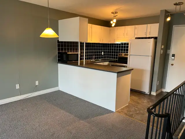 1 bedroom apartment for rent downtown in an Adult only building - Photo 3