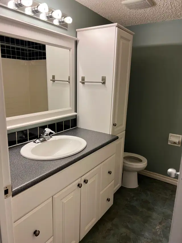 1 bedroom apartment for rent downtown in an Adult only building - Photo 6