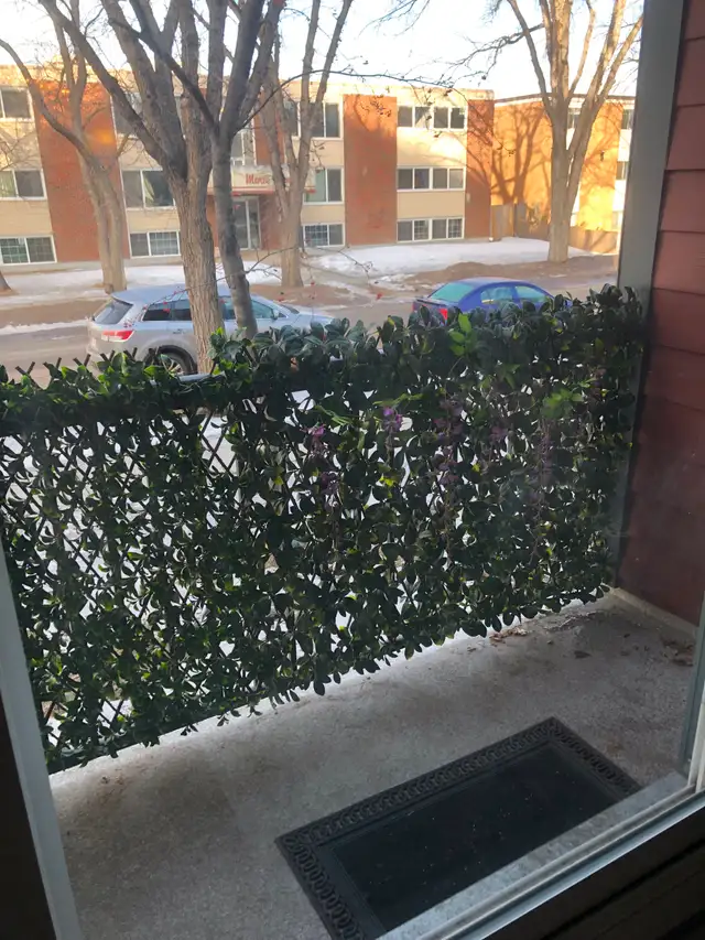 1 bedroom apartment for rent downtown in an Adult only building - Photo 8