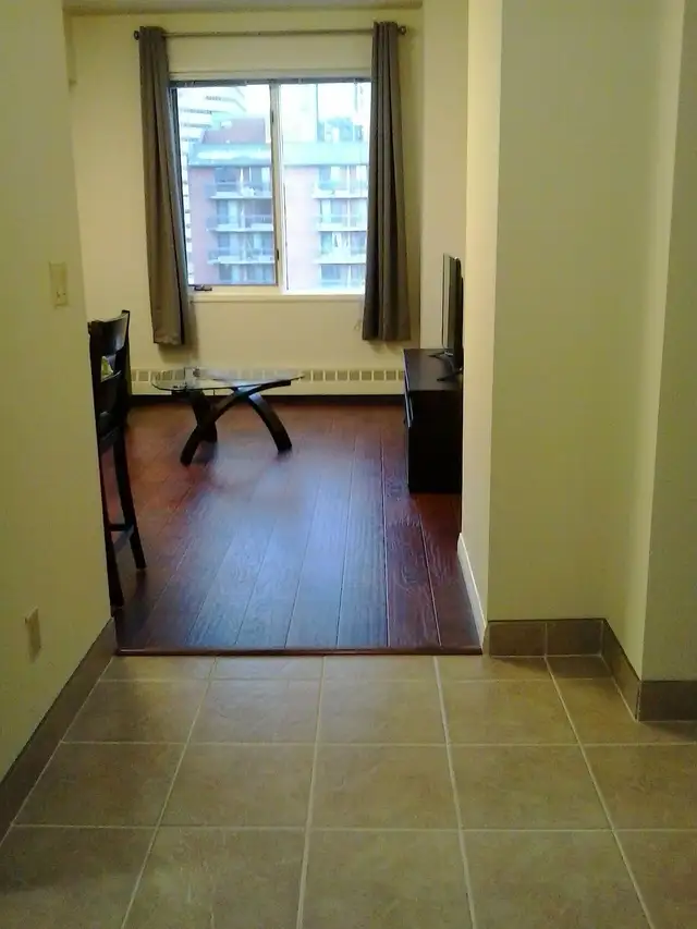 Furnished Chinatown Condo - Photo 2