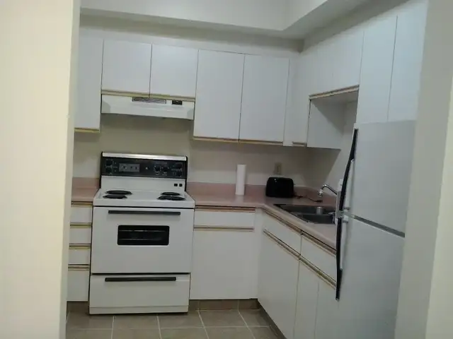 Furnished Chinatown Condo - Photo 4