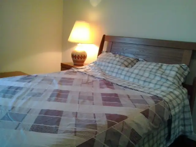 Furnished Chinatown Condo - Photo 5