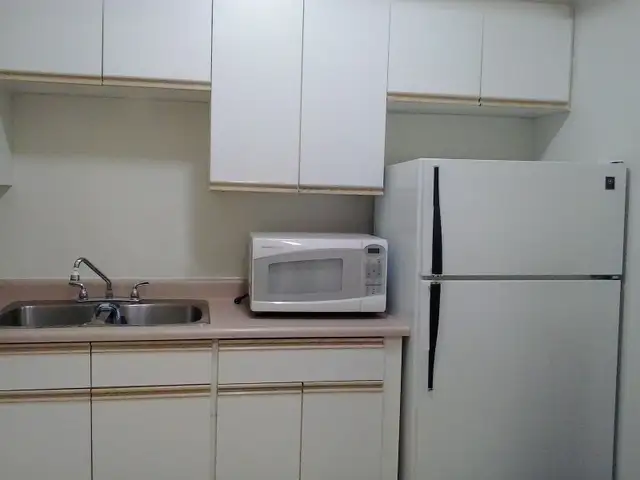 Furnished Chinatown Condo - Photo 6