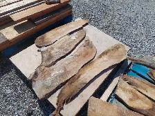 Live edge wood. Longest piece measures 64' Long - Photo 3