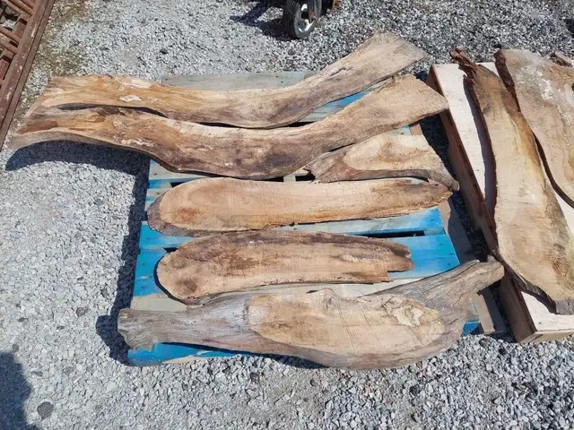 Live edge wood. Longest piece measures 64' Long - Photo 4