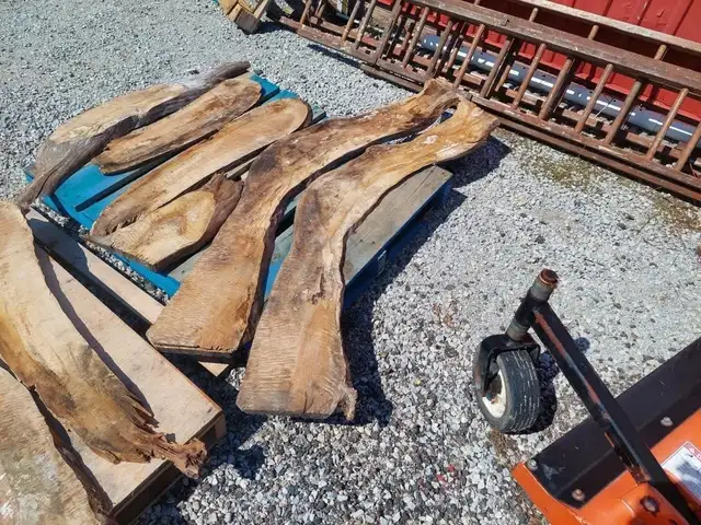 Live edge wood. Longest piece measures 64' Long - Photo 5