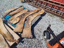 Live edge wood. Longest piece measures 64' Long - Photo 5
