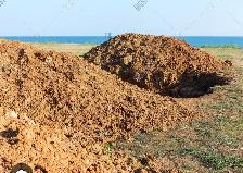 Dumpsite  Clay, Topsoil