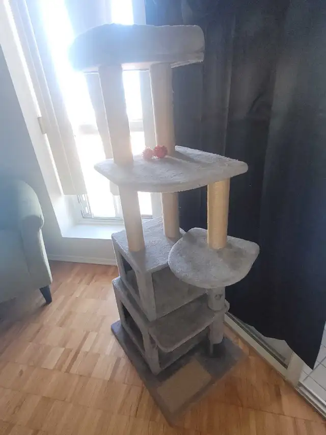 cat tree