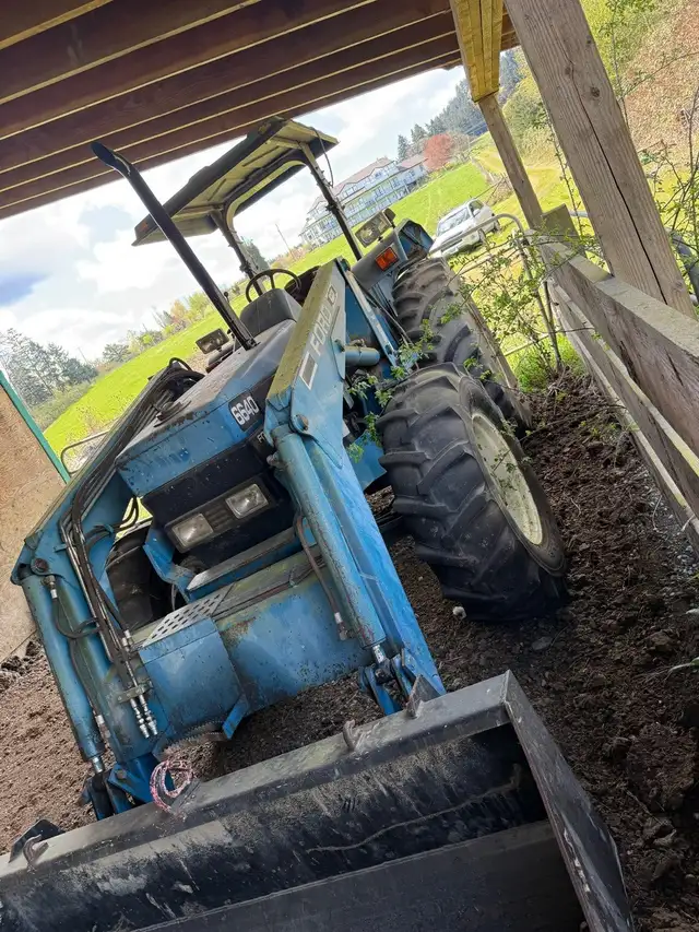 Horse Trailer and More!! - Photo 5