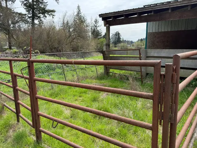 Horse Trailer and More!! - Photo 6