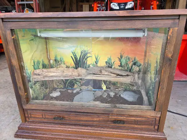 reptile tank
