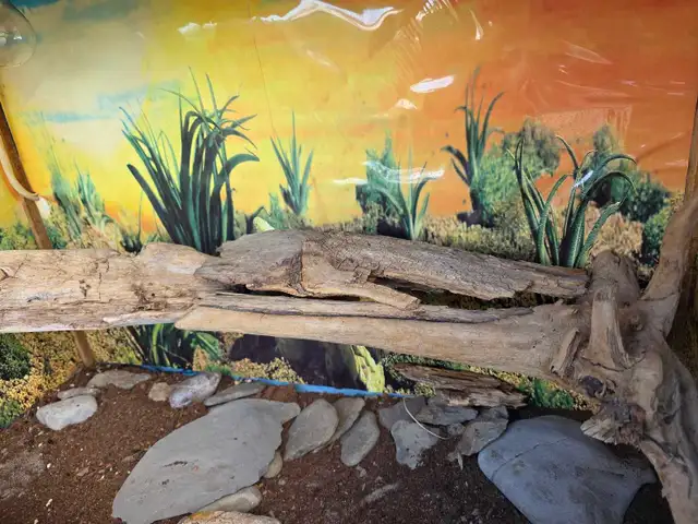 reptile tank - Photo 2